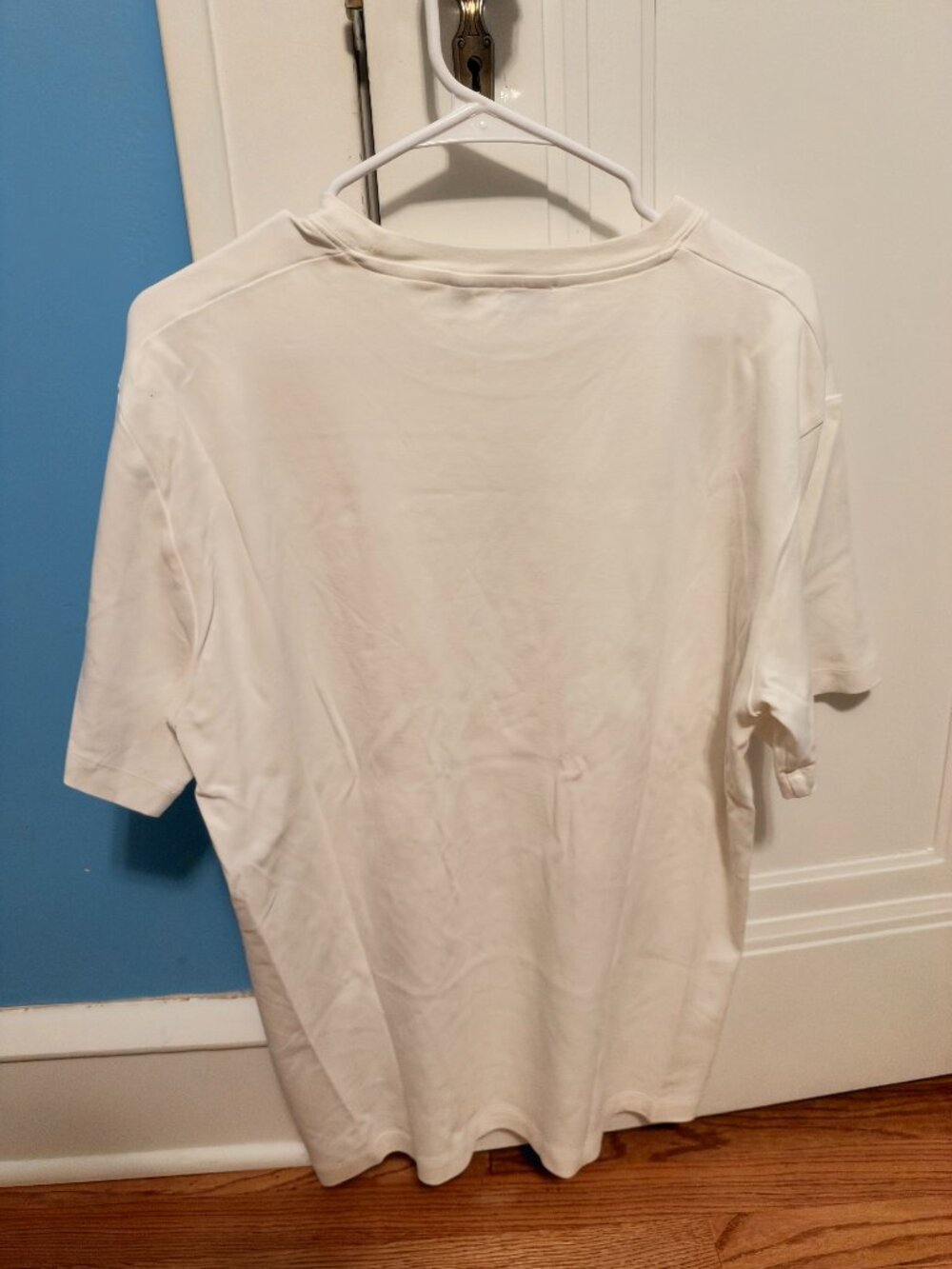 Aritzia InterLock Cotton Pegasus T-Shirt